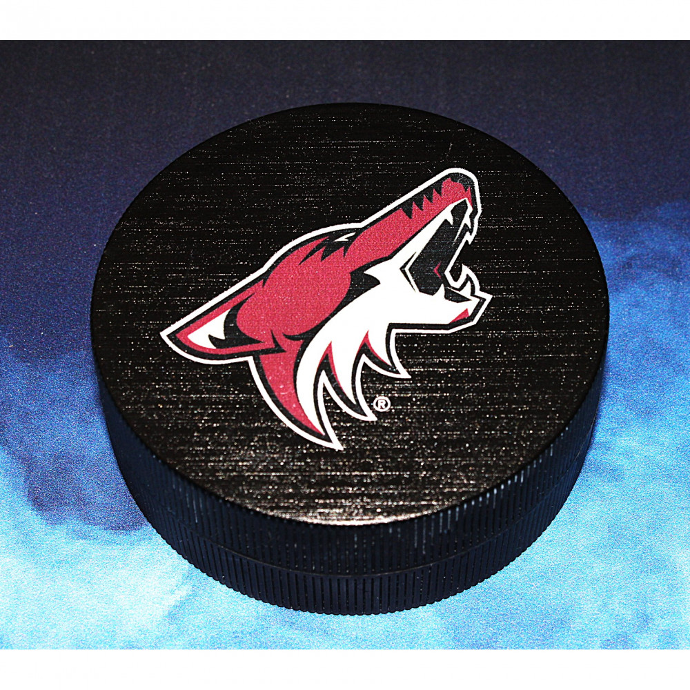 ARIZONA COYOTES NHL RULLAMITTA 