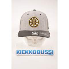 Boston Bruins Storm Cloud lippis