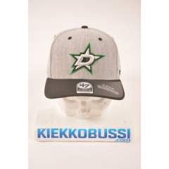 Dallas Stars Storm Cloud lippis